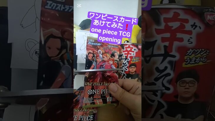 【ワンピースカード】売り切れ続出のヒロインズエディション開封 one piece Heroines Edition opening #shorts