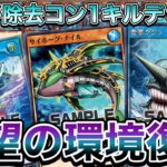【復権】安くて強いで一世を風靡した『魚族』が強力新規と共に環境に帰ってきた件！！！