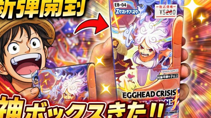 【ワンピースカード】本日発売の新弾開封したら神ボックスでした🔥　#ワンピースカードゲーム #新弾開封 #エッグヘッドクライシス