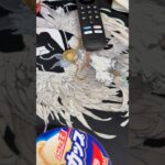 このプレイマット