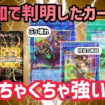 [衝撃の内容】新規カードと再録が強すぎる！話題の豪華箱を解説！リミットオーバーコレクション　ザ・ヒーローズ【遊戯王】