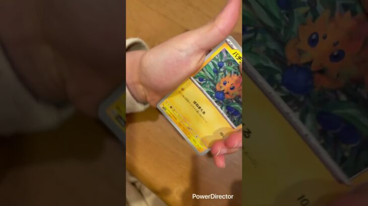 #ポケモンカード開封 264日目#ポケモンカード #ポケカ #ポケモン #ポケカ開封 #pokemon #pokemoncards #レイジングサーフ