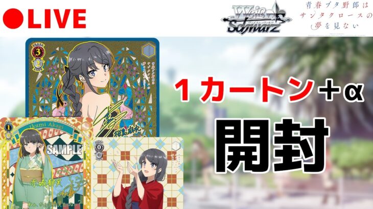 【ヴァイス】青ブタ新弾！ 麻衣さんABRを狙って1カートン(24BOX)+α開封します！【青春ブタ野郎はサンタクロースの夢を見ない】