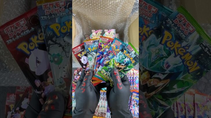 No,61 即決落札ありがとうございます！