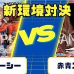 【ワンピースカード】新弾環境対戦　赤青ルーシーVS赤青エース