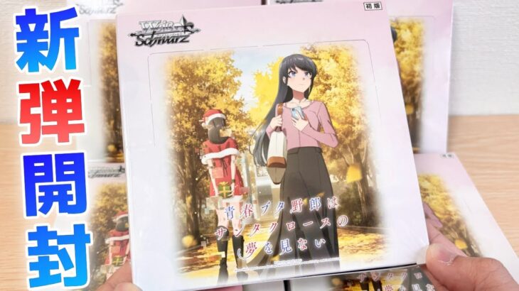 【ヴァイス】 青ブタシリーズ最新弾！ミニスカサンタの直筆サイン当ててやんぞ！［青春ブタ野郎はサンタクロースの夢を見ない］