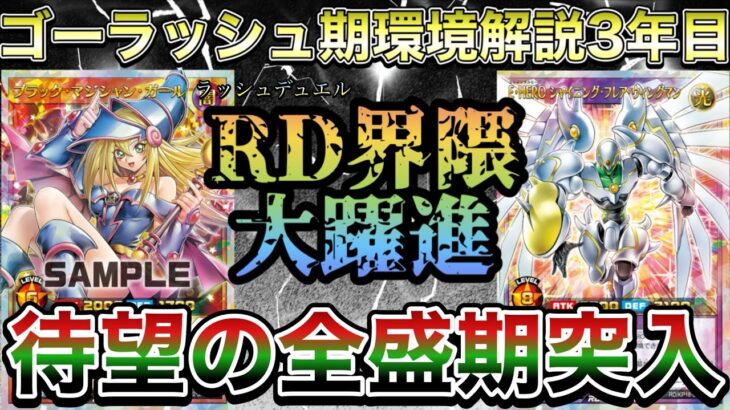 【ゴーラッシュ期環境解説】闇魔環境続投～闇魔導再臨までの振り返り。『#ラッシュデュエル 』