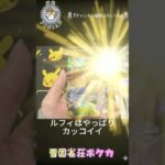 【ワンピース】【最新弾開封】万雷（ママラガン）級の衝撃！？新弾開封動画の結果は？！
