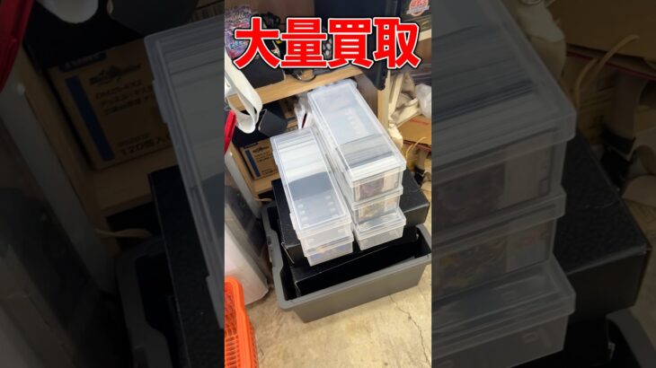 久しぶりに大量のデュエマが買取に来た#vlog #デュエマ #買取