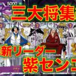 【ワンピースカード】紫センゴクvs 赤青エース！16弾新リーダーの紫センゴクが登場！8ドンで三大将が集結！？赤青エースと対戦してみた！
