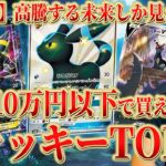 【ポケカ】手遅れになる前に押さえて！まだ10万円以下で狙えるブラッキーTOP10！！