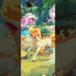 まさに伝説？！（13-14）#pokemon  #ポケポケ #shorts  #ポケカ最新情報 #新弾  #毎日開封  #おまけ #ポケモンカード ＃シャイニングメガ