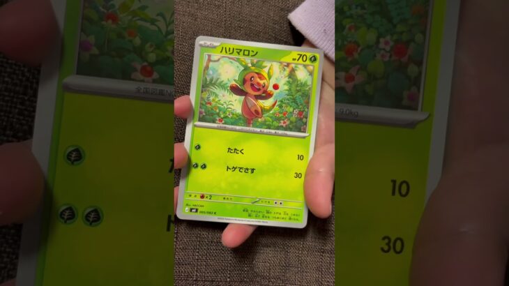 ［ポケカ］新弾　ニンジャスピナー　パック開封18 AR！  #pokemon #pokemoncards #pokemontcg #pokemontcgpocket