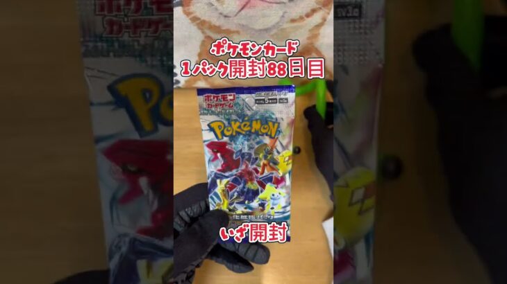 【ポケカ】ポケモンカードレイジングサーフ  1パック開封88日目・・・#ポケモン#ポケモンカード#開封動画
