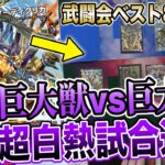 【王道武闘会】2大最強コントロールデッキ『5cザーディクリカ』と『アナカラーマルル』が衝突した結果【ベスト8】