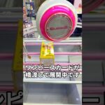 橋渡しでワンピースカードBOXが狙えるクレーンゲームを発見しました！？ #クレーンゲーム #UFOキャッチャー #ワンピースカード
