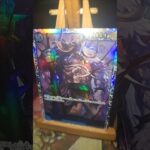 Kaido カイドウ One Piece  ワンピース