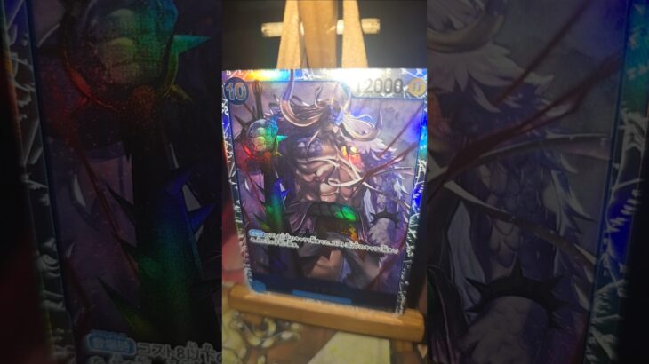 Kaido カイドウ One Piece  ワンピース