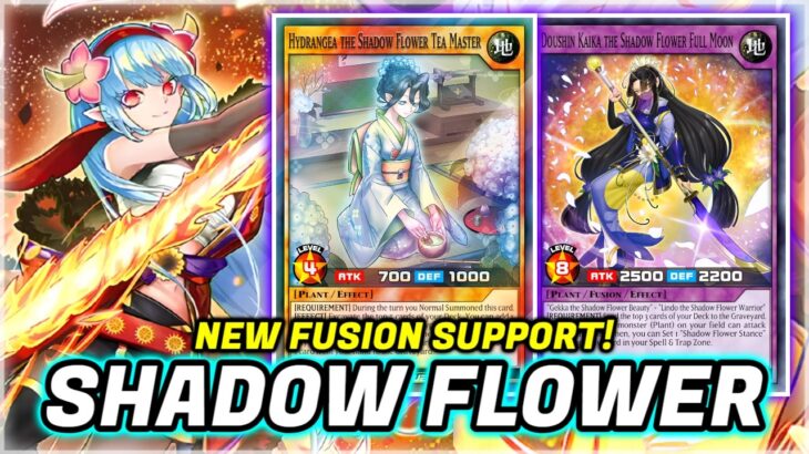 NEW PLANT SUPPORT!!! Shadow Flower Deck Testing! | Yu-Gi-Oh Rush Duel | EDOPRO