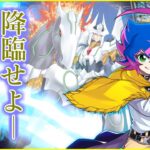 【#ヴァンガード】【#VGDD2】【#フェスティバルブースター2025】仲間の数は可能性そのものだーーー【CPU戦 VERY HARD】