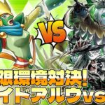 注目の環境トップ同士でガチ対戦！『叛骨』VS『ヴォイドアルヴ』【遊戯王ラッシュデュエル】