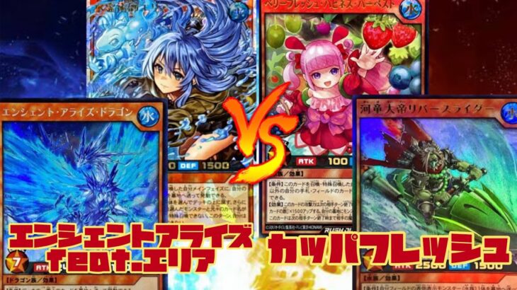 【ラッシュデュエル】霊使いついに参戦！出張イケます！「エンシェントアライズ」VS「カッパフレッシュ」【フリー対戦】