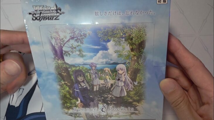 [WS] Summer Pockets TV Anime Version