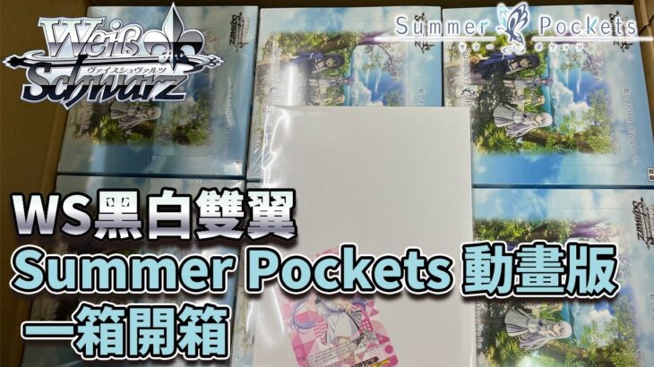 【WS】Summer Pockets 動畫版 一箱開箱