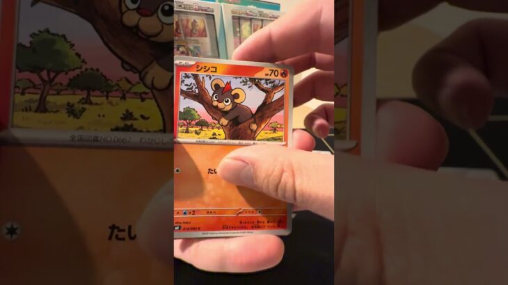 ニンジャスピナー開封 #開封 #ポケモンカード #ムニキスゼロ #ポケカ #新弾開封 #ポケカ開封 #ポケモン #開封 #開封動画 #ポケモン ケカ再販最新情報 #asmr #shorts