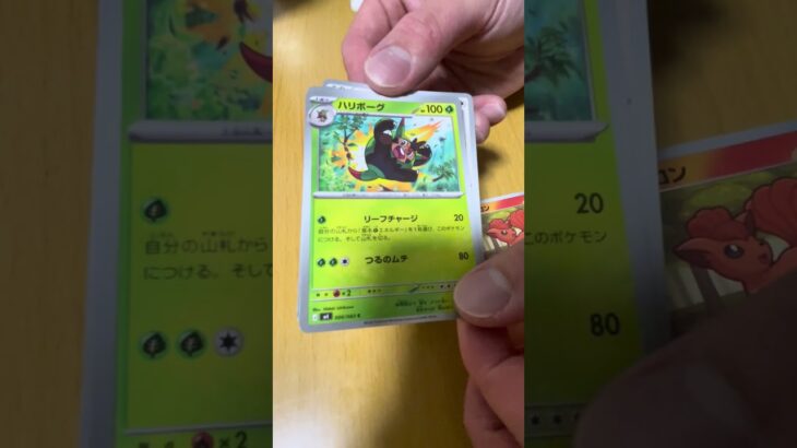 ポケカ新弾開封❣️やっと手に入れました!⭐️#ポケカ #pokemon