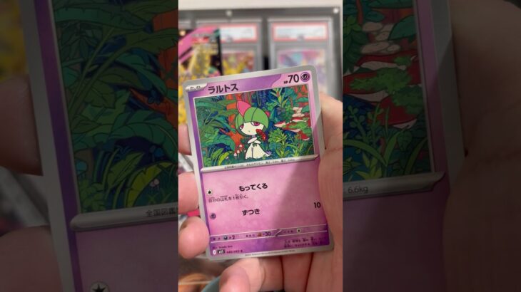 pokemon ポケモンカード　パック開封　メガシンフォニア　　#pokemon #ポケモンカード25周年 #ポケカ #ポケモン #ポケモンカード #ポケカ開封 #メガドリームex #新弾開封