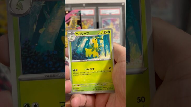 pokemon ポケモンカード　パック開封　メガシンフォニア　　#pokemon #ポケモンカード25周年 #ポケカ #ポケモン #ポケモンカード #ポケカ開封 #メガドリームex #新弾開封