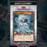 収録カード速報！「極光のライジング」② #shorts  #遊戯王ラッシュデュエル