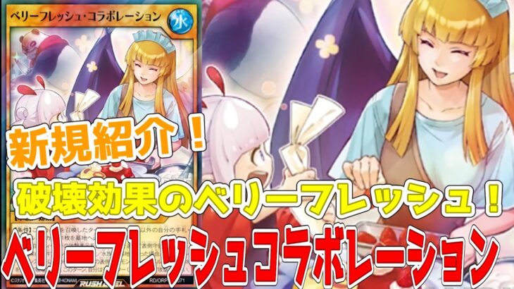 【ラッシュデュエル】新規紹介！ベリーフレッシュコラボレーション！破壊効果のベリーフレッシュ！！！【遊戯王】