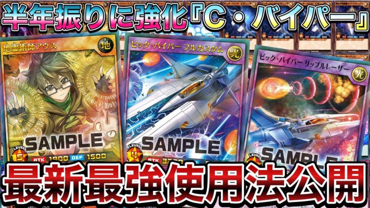 【衝撃】ビックバイパーをお手軽に使いまわせる最新型の『サイバーバイパー』がなかなかヤってるので紹介します。