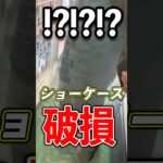 ごめんなさい、ショーケース壊しました#vlog #デュエマ