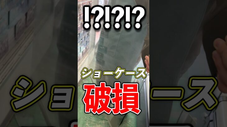 ごめんなさい、ショーケース壊しました#vlog #デュエマ