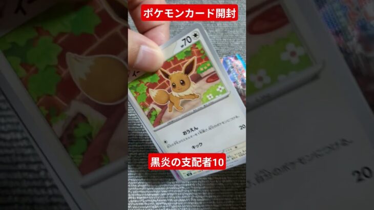ポケモンカード開封動画10 黒炎の支配者