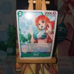 Edward Newgate Whitebeard エドワード・二ューゲート 白 Kin’emon 錦えもん Nami  ナミ One Piece ワンピース