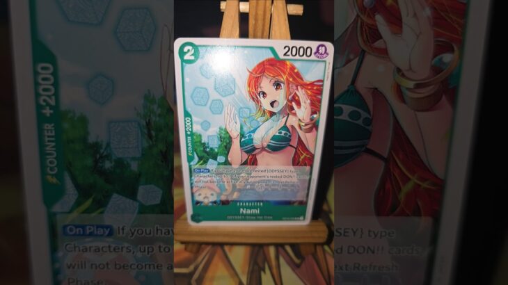 Edward Newgate Whitebeard エドワード・二ューゲート 白 Kin’emon 錦えもん Nami  ナミ One Piece ワンピース