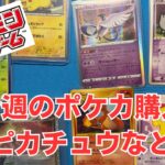 【ポケカ】ピカチュウなど少し古めのカードを購入。ハレルヤさんより。Pokémon Trading Card Game