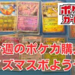 【ポケカ】今週のポケモンカード購入。ブイズマスボを購入。Pokémon Trading Card Game in japan ―English audio available!