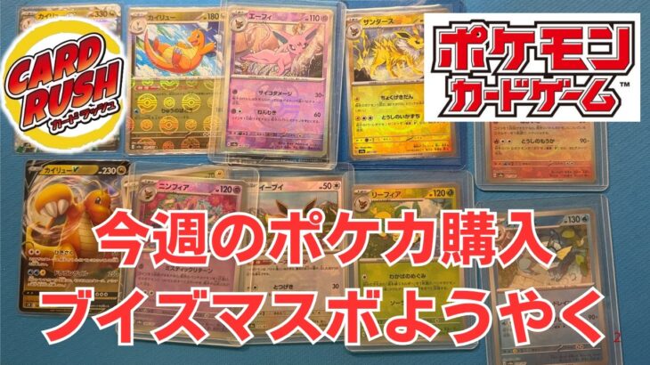 【ポケカ】今週のポケモンカード購入。ブイズマスボを購入。Pokémon Trading Card Game in japan ―English audio available!