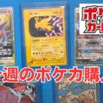【ポケカ】今週のポケモンカード購入。ゲンガーやサンダーなど古めのカード。Pokémon Trading Card Game in japan ―English audio available!