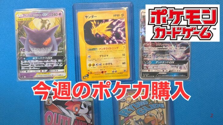 【ポケカ】今週のポケモンカード購入。ゲンガーやサンダーなど古めのカード。Pokémon Trading Card Game in japan ―English audio available!