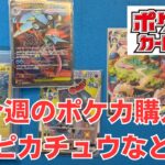 【ポケカ】今週のポケモンカード購入。ピカチュウやカビゴンなど。Pokémon Trading Card Game in japan ―English audio available!