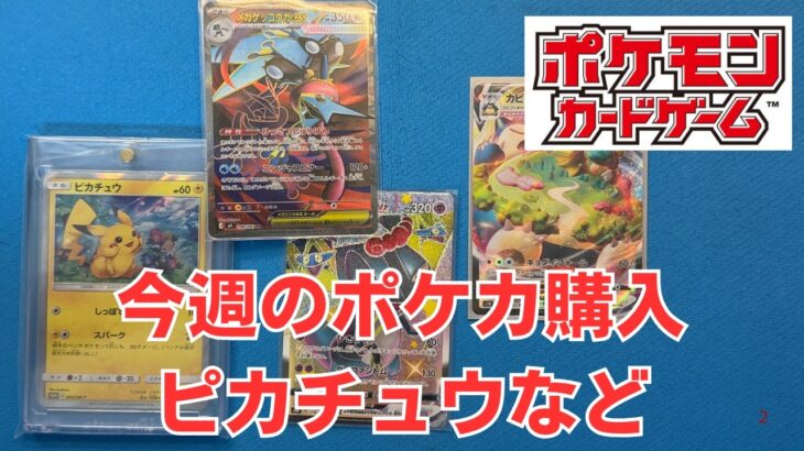 【ポケカ】今週のポケモンカード購入。ピカチュウやカビゴンなど。Pokémon Trading Card Game in japan ―English audio available!