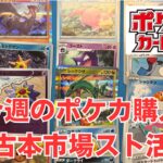 【ポケカ】今週のポケモンカード購入。ふるいちでスト活。レックウザやブイズなど。Pokémon Trading Card Game in japan ―English audio available!