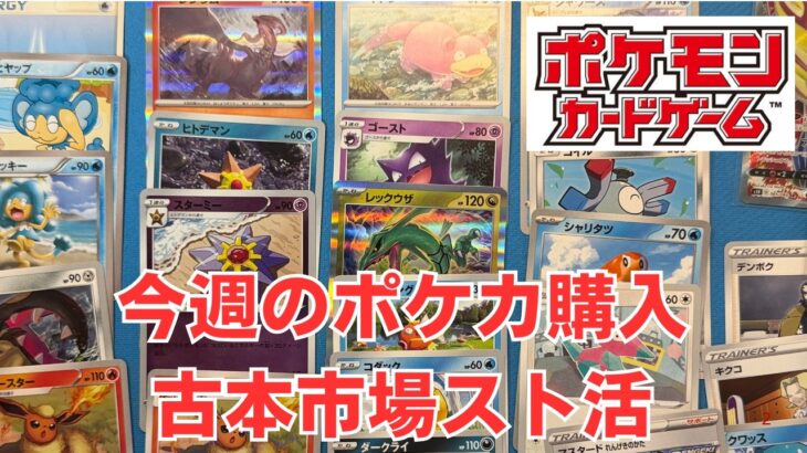 【ポケカ】今週のポケモンカード購入。ふるいちでスト活。レックウザやブイズなど。Pokémon Trading Card Game in japan ―English audio available!