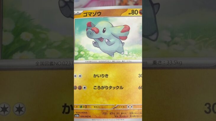パラソルおねえさんSAR狙い